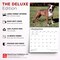 BrownTrout; For the Love of American Pit Bull Terriers | 2027 14 x 24 Inch (Hanging) Monthly Deluxe Wall Calendar | Foil Stamped Cover | Plastic-Free; Category:Wall Calendars; Image:7